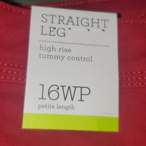 STYLE & CO PLUS SIZE 16 16W PETITE RED PANTS SKINNY HOLIDAYS CHRISTMAS‎ NWT - Picture 9 of 10